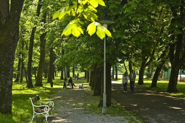 Апартаменты Karlovacka Zvijezda Экстерьер фото